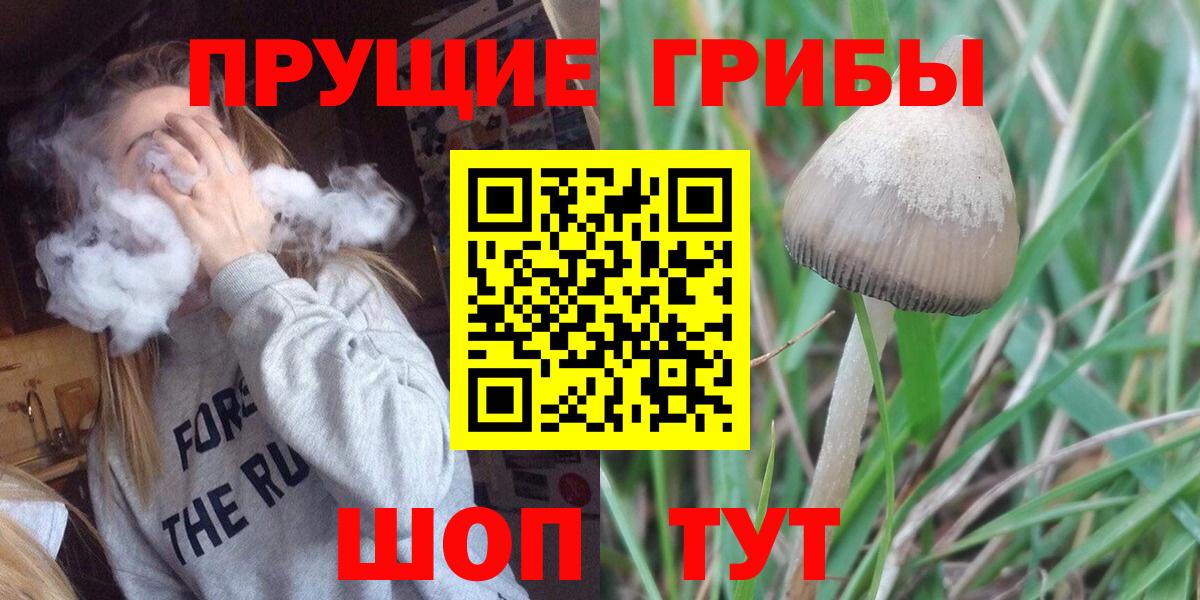 Галлюциногенные грибы прущие грибы Кизляр