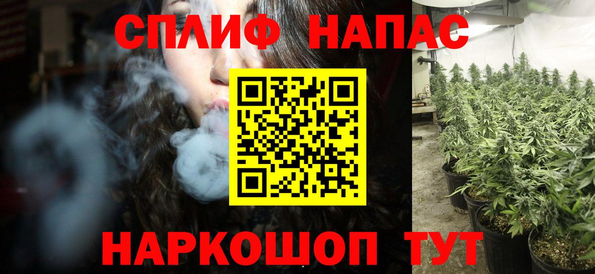 Конопля Bruce Banner Кизляр